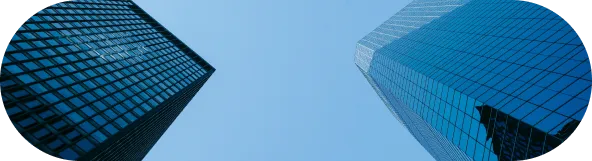 Financial Advisory - SfinaX